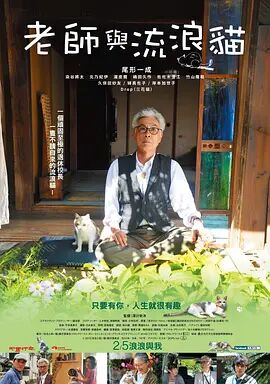国产精品不卡在线观看